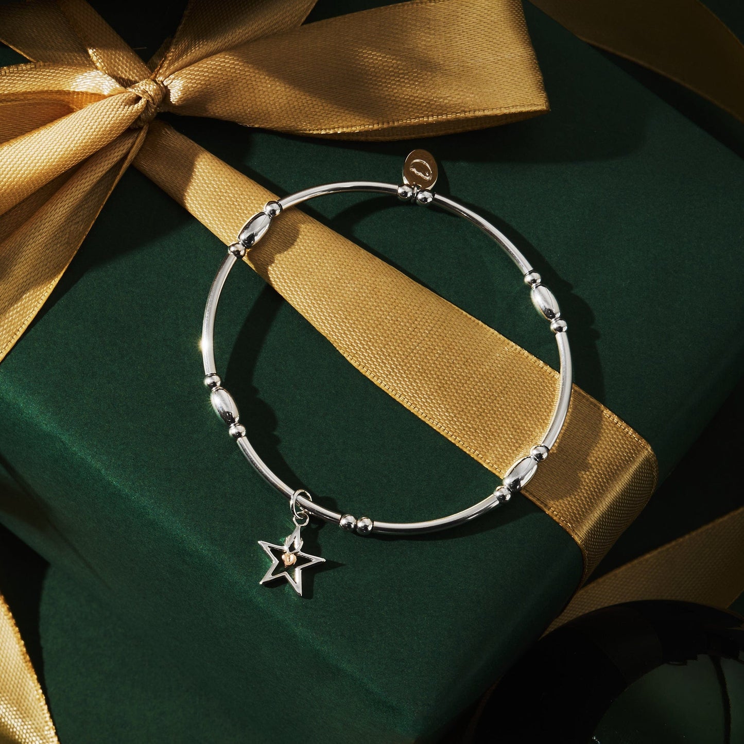 Tree of Life Starlight Silver Affinity Bracelet