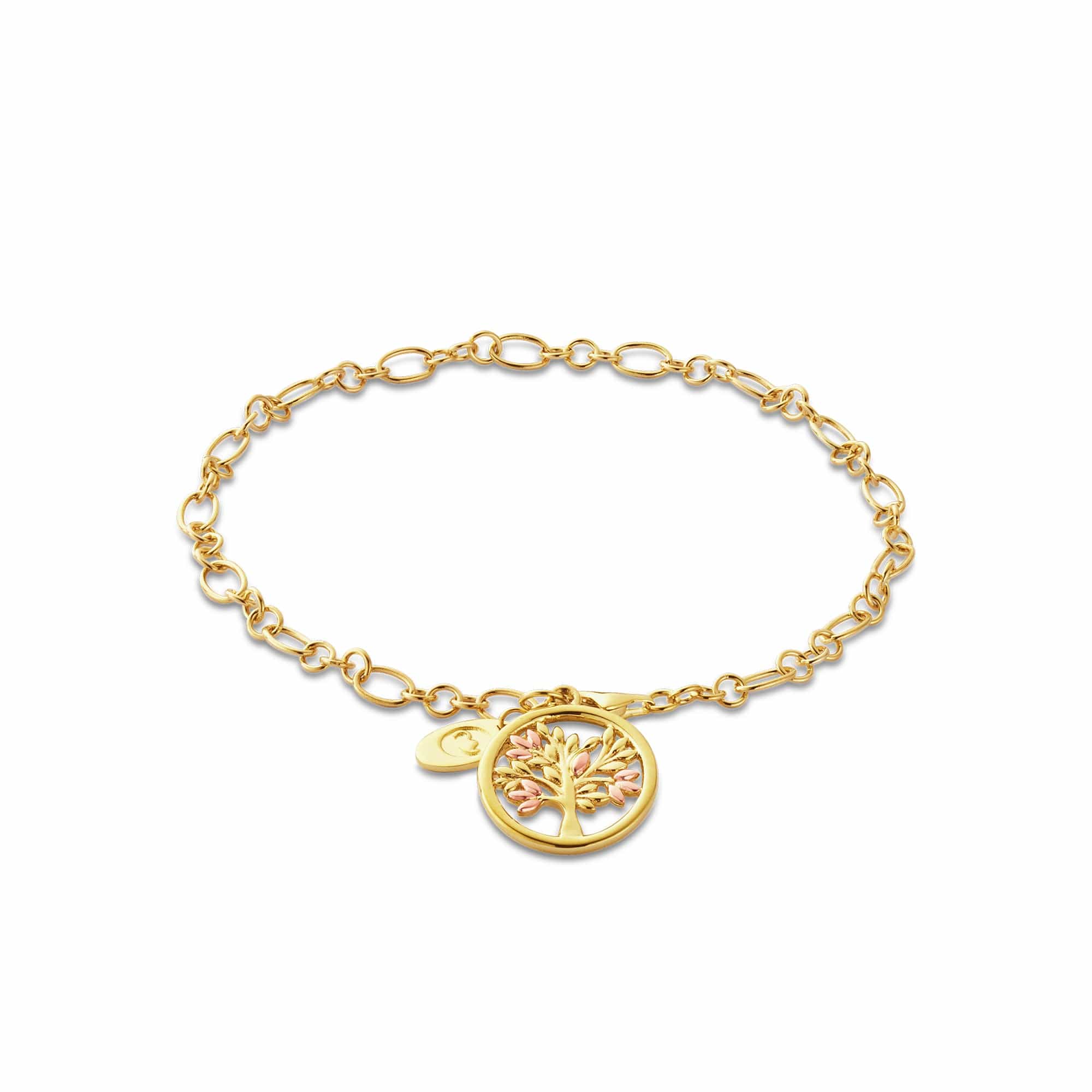 Tree of Life® 9ct Solid Gold Bracelet – Clogau