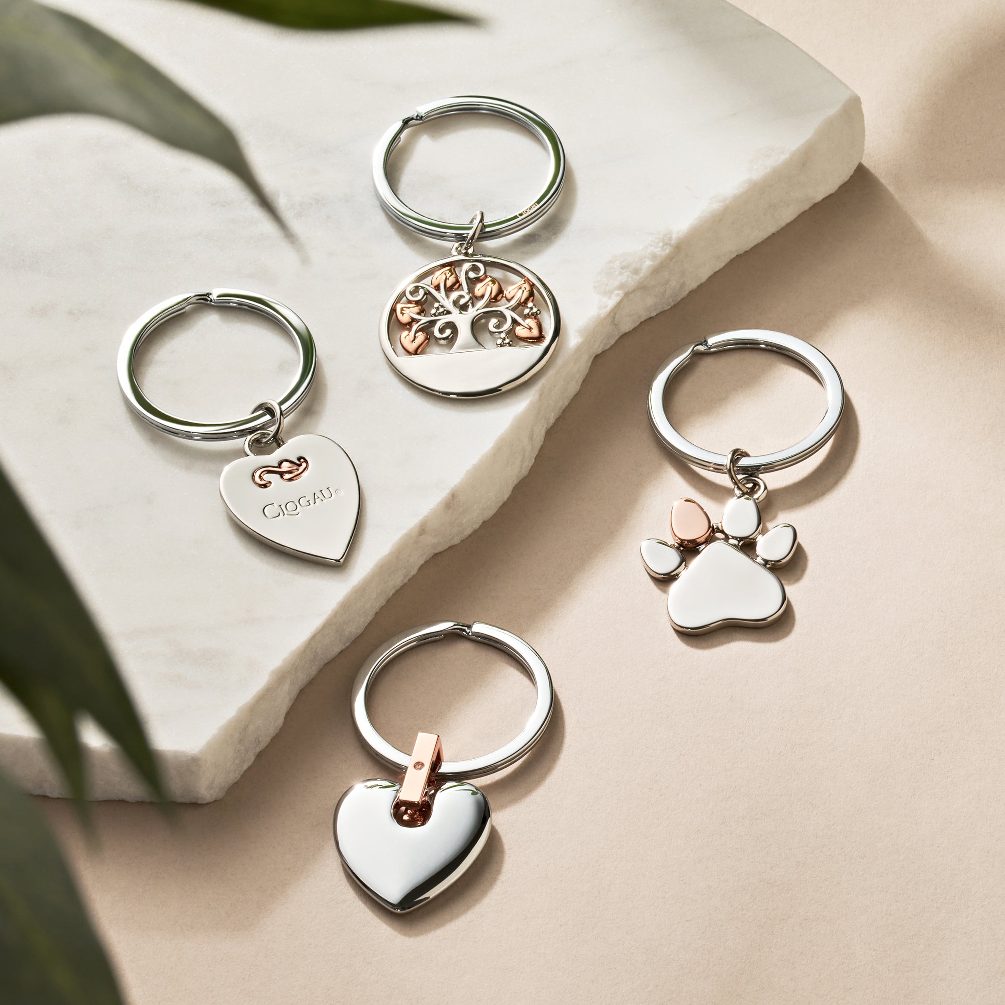 Keyrings – Clogau