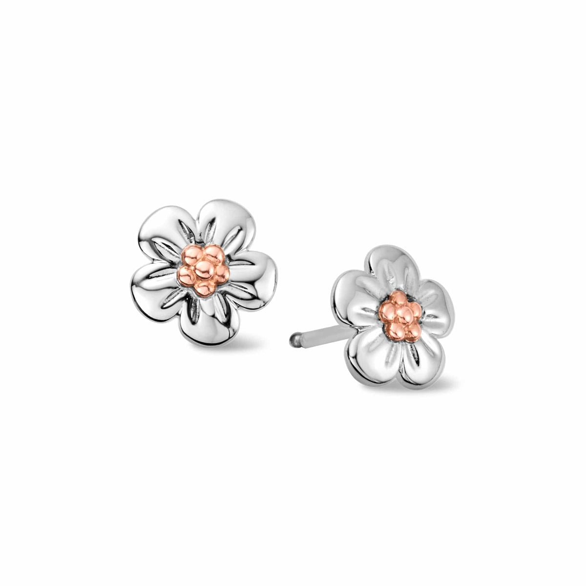 Natures Wonder Sterling Forget Me Not Stud Earrings