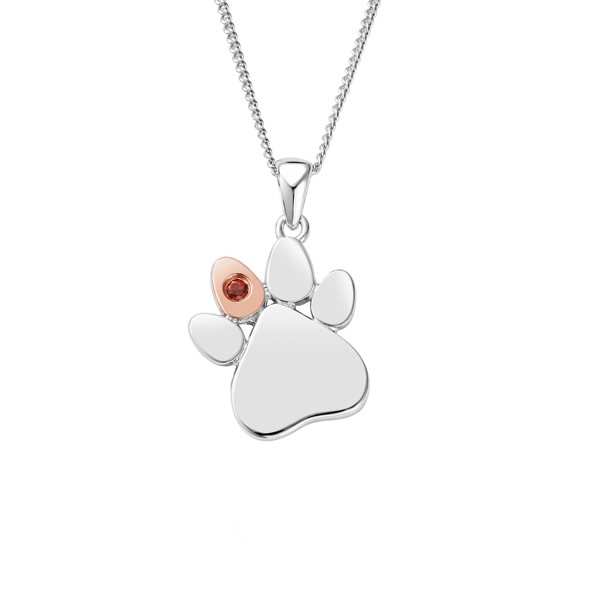 Paw Prints on My Heart Silver Birthstone Pendant – January