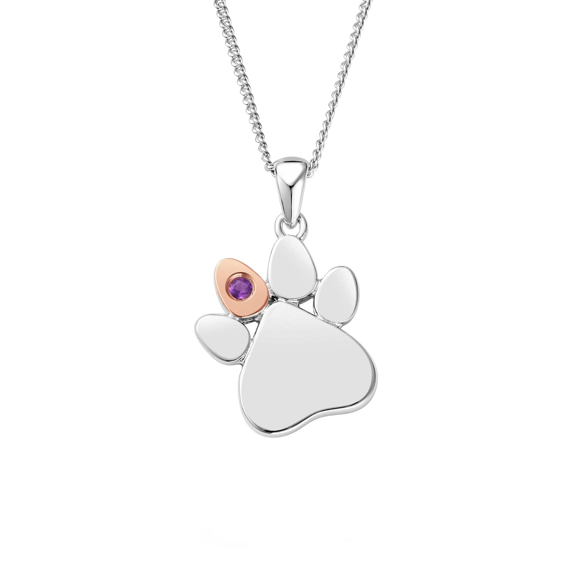 Paw Prints on My Heart Silver Birthstone Pendant – February