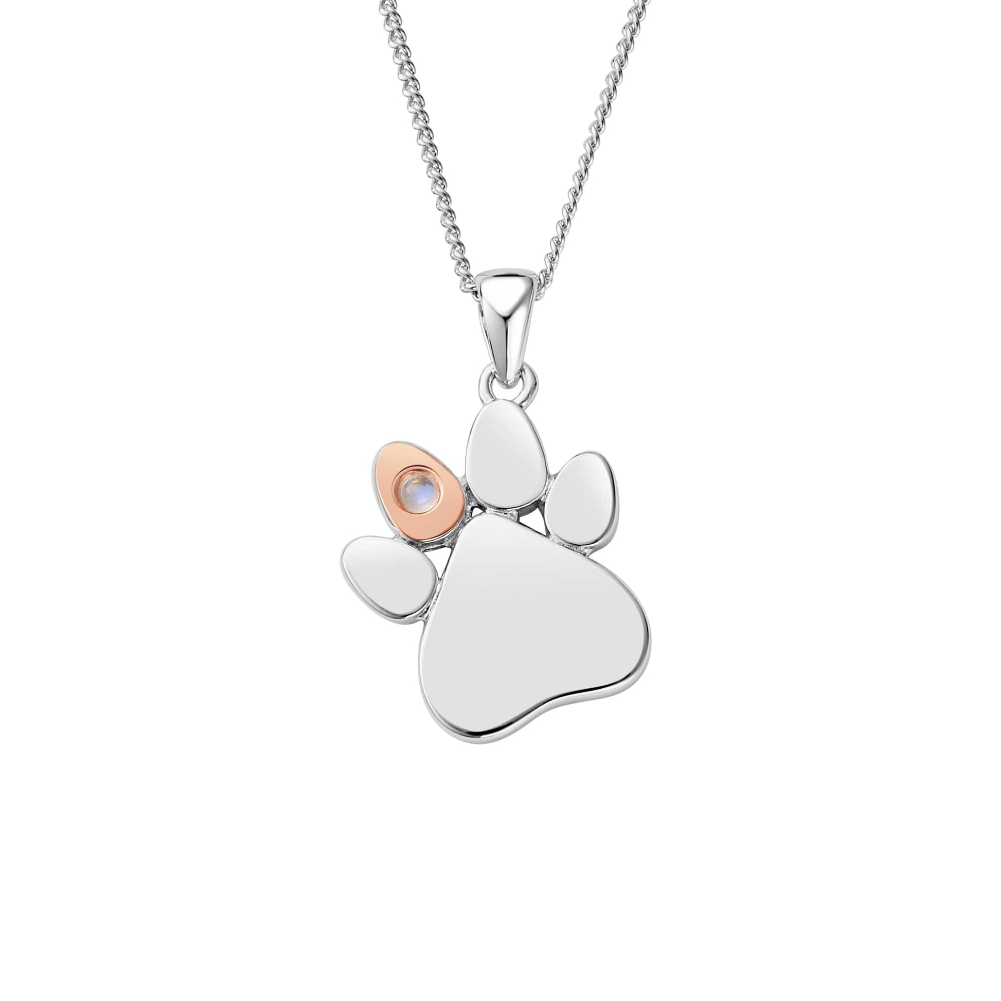 Paw Prints on My Heart Silver Birthstone Pendant – June