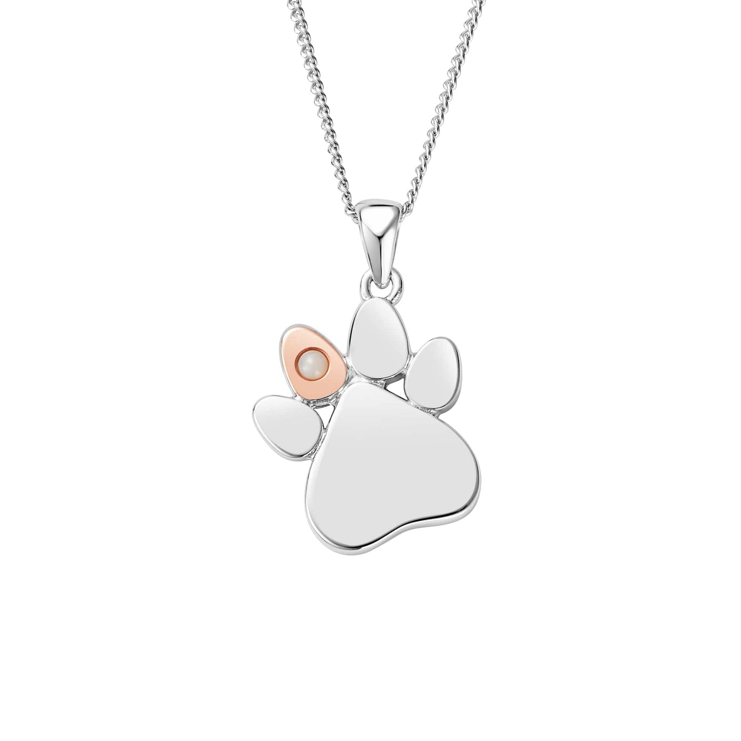 Paw Prints on My Heart Silver Birthstone Pendant – October