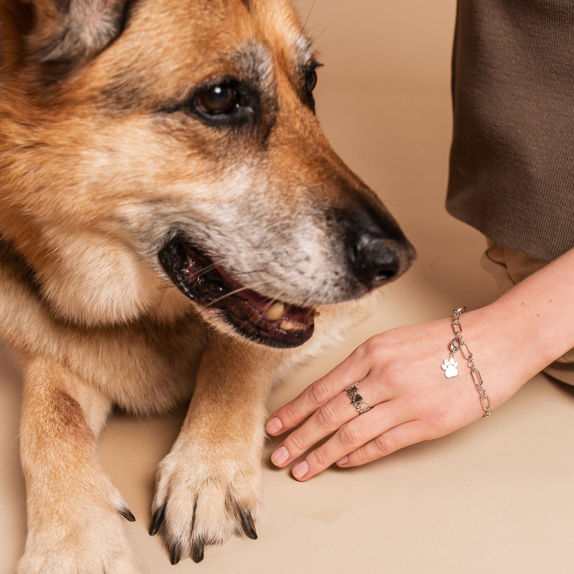 Charm a forma di zampa di cane in argento Sterling 925 con impronta di zampa animale per bracciale europeo (cristallo jet Charm a forma di zampa di cane in argento Sterling 925 con impronta di zampa animale per bracciale europeo (cristallo jet