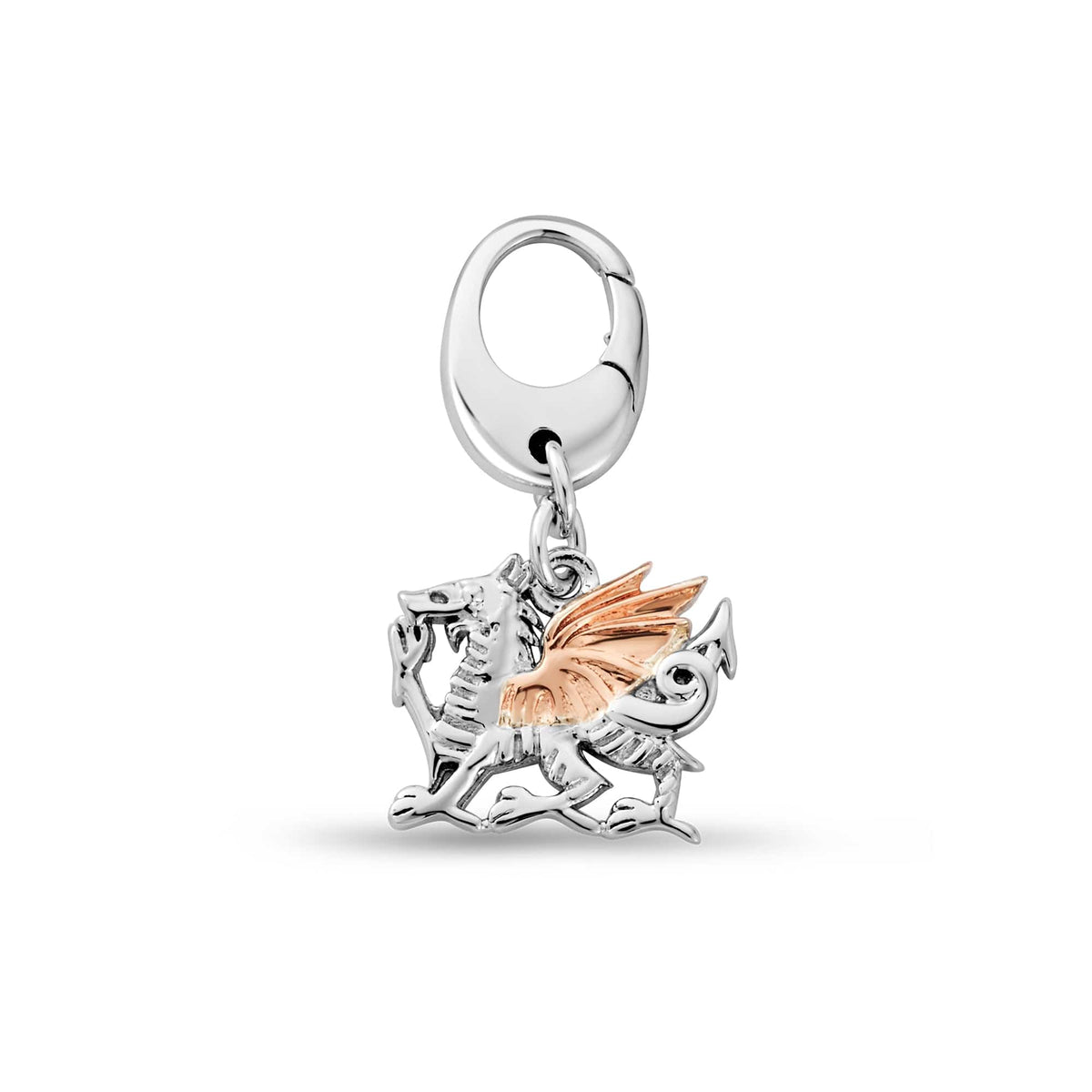 Insignia Sterling Welsh Dragon Charm