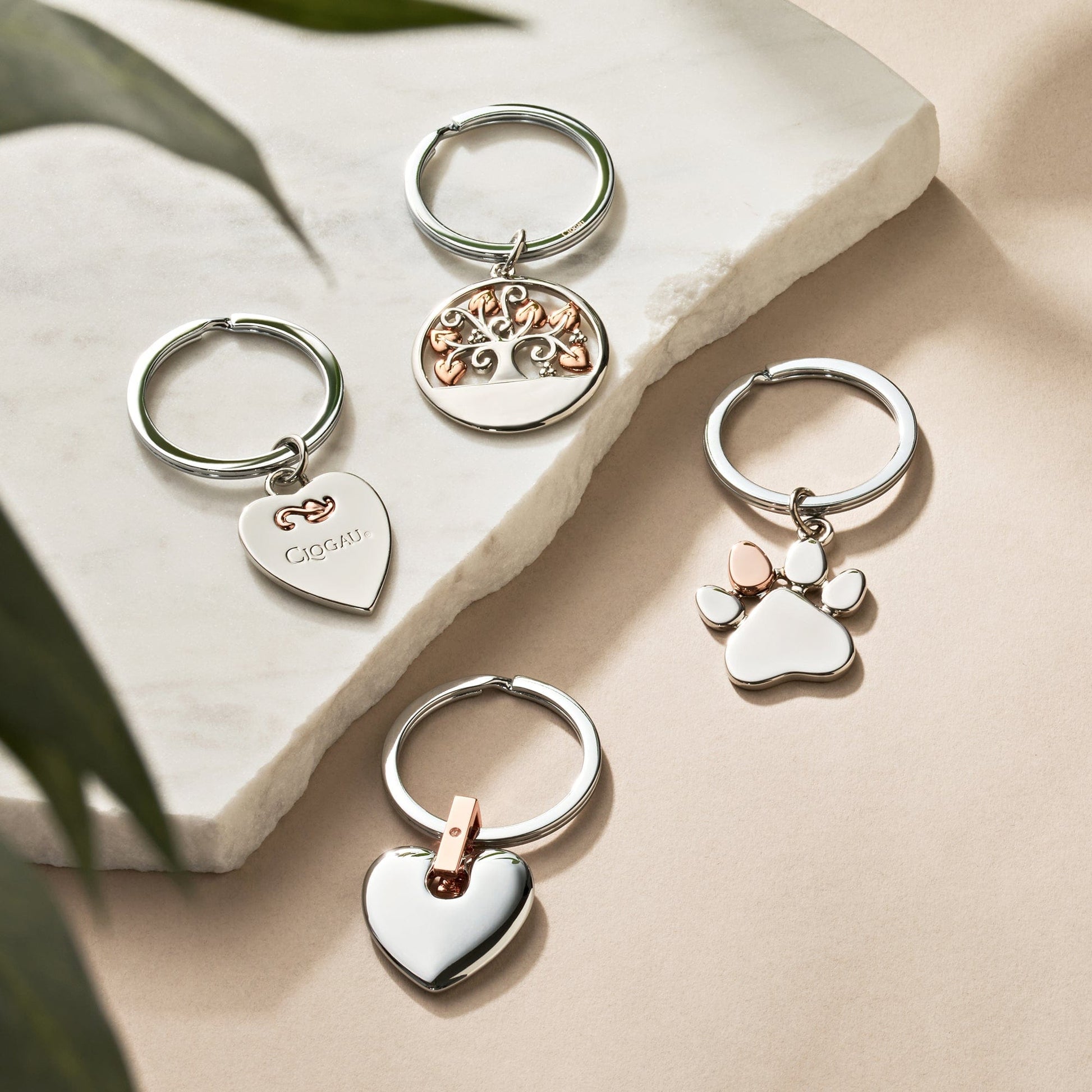 Paw Prints Keyring