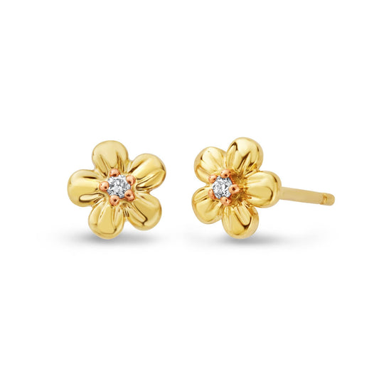 Nature's Wonder 9ct Solid Gold Forget-Me-Not Stud Earrings with Diamonds