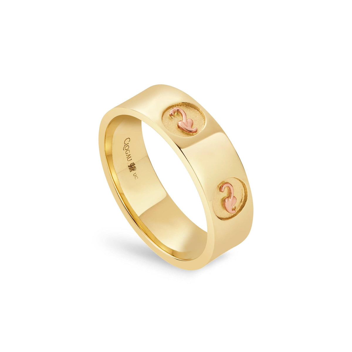 Insignia 9ct Solid Ring