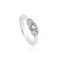 18ct White Gold Past Present Future Engagement Ring with 0.3ct Round Brilliant Cut Diamond