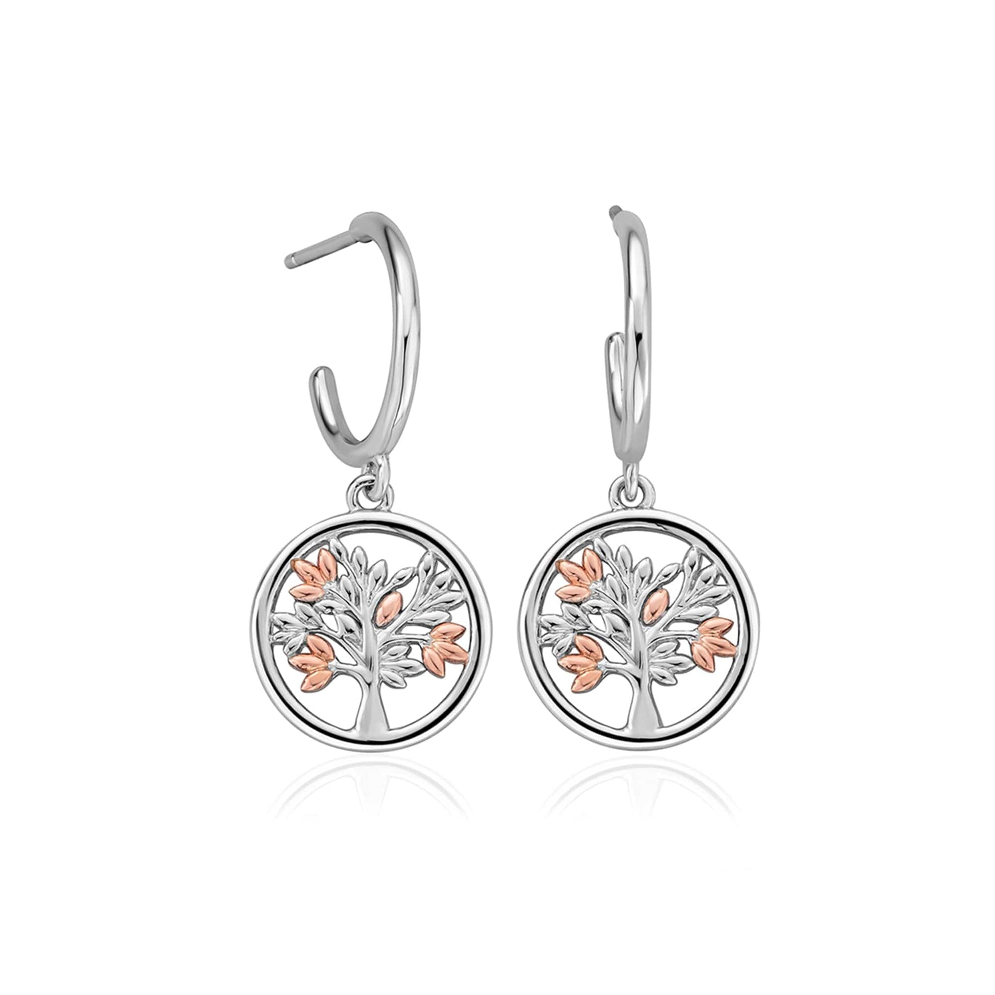 Tree of Life® Circle Silver Drop Earrings