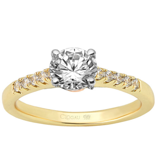 Compose - Timeless Love (T) - 9K Yellow with 9K Rose Gold